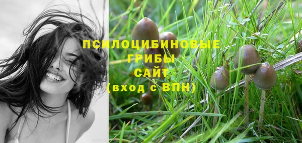 ешки Майский