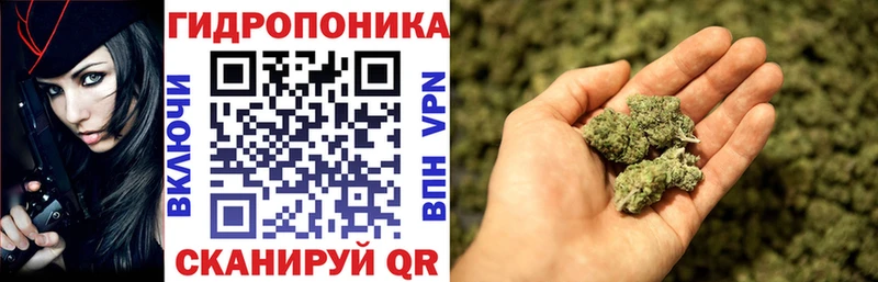 где найти   Монино  hydra онион  Бошки марихуана индика 